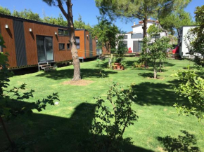 sakız tinyhouse